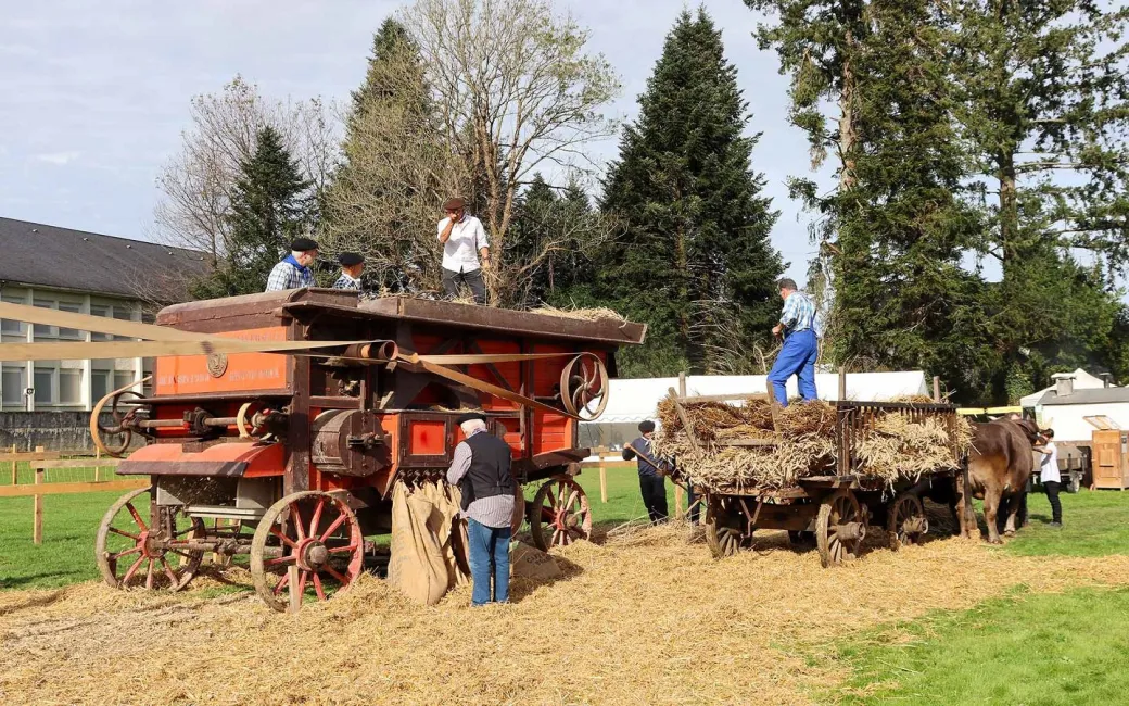 Foire d'Automne à Arudy - Crédit: otvo | CC BY-NC-ND 4.0