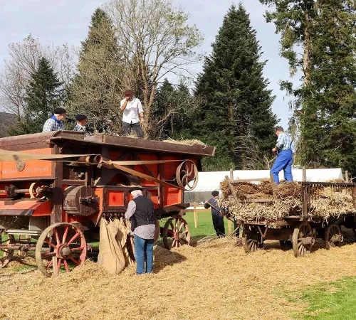 Foire d'Automne à Arudy
