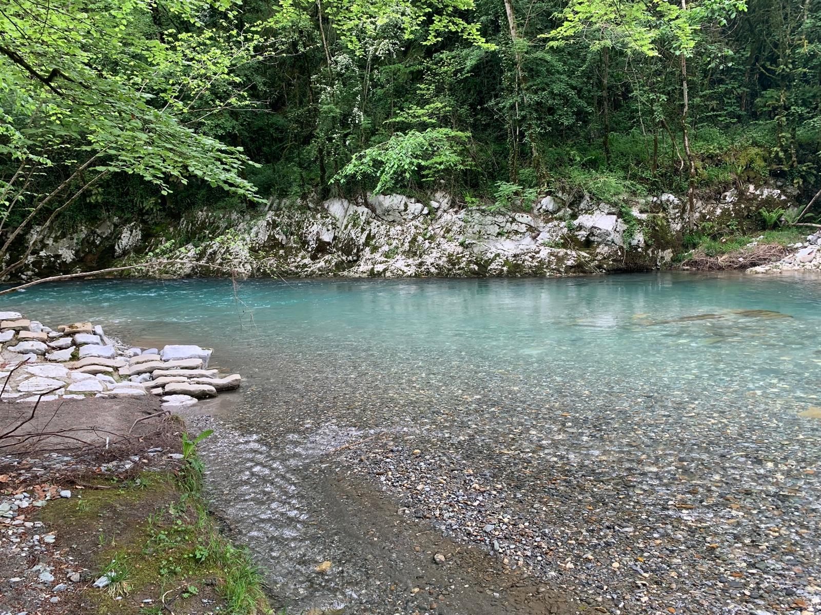 Balade botanique et repas "Les Plantes Sauvage ...