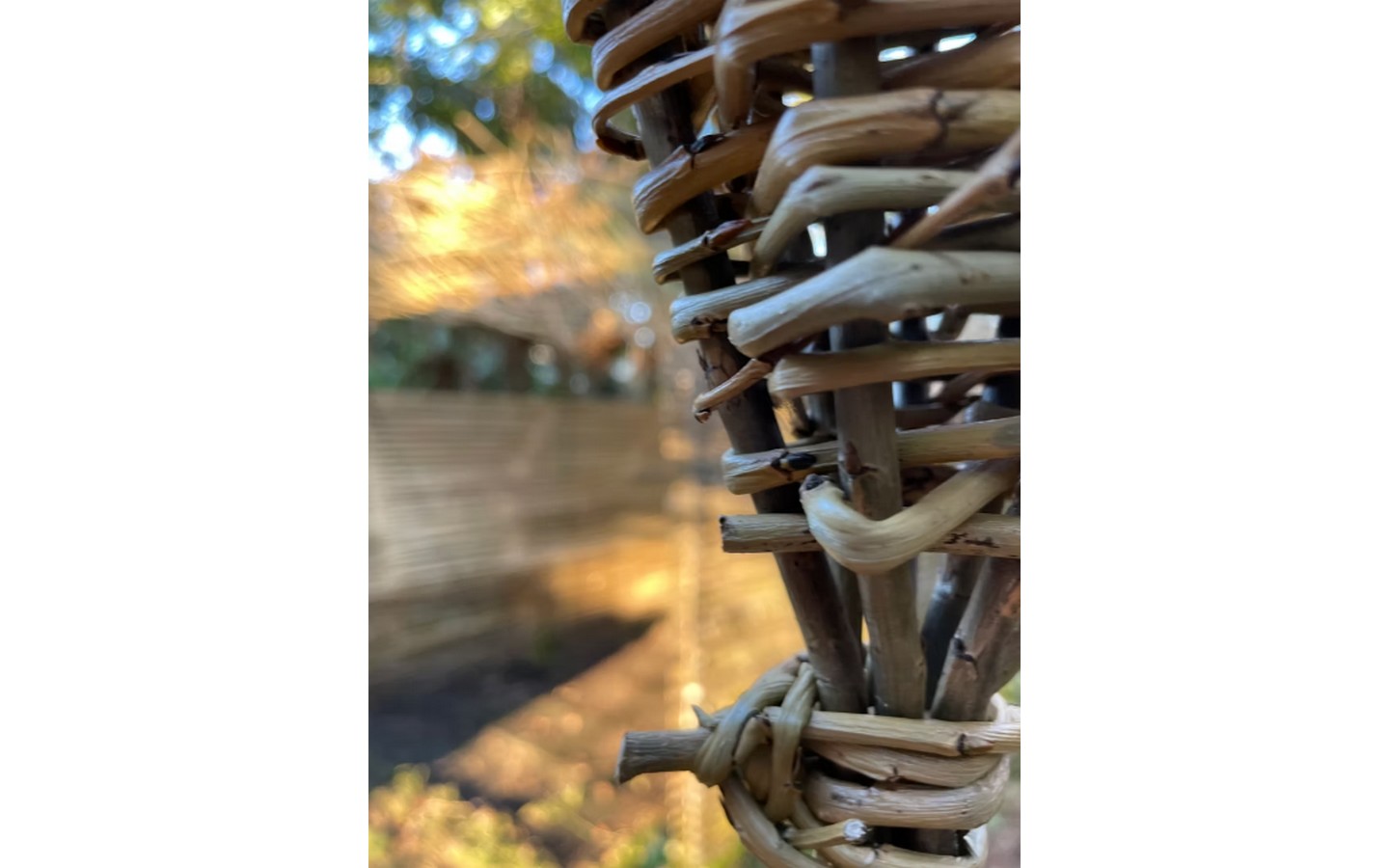 Atelier parent/enfant "Osez l'osier"