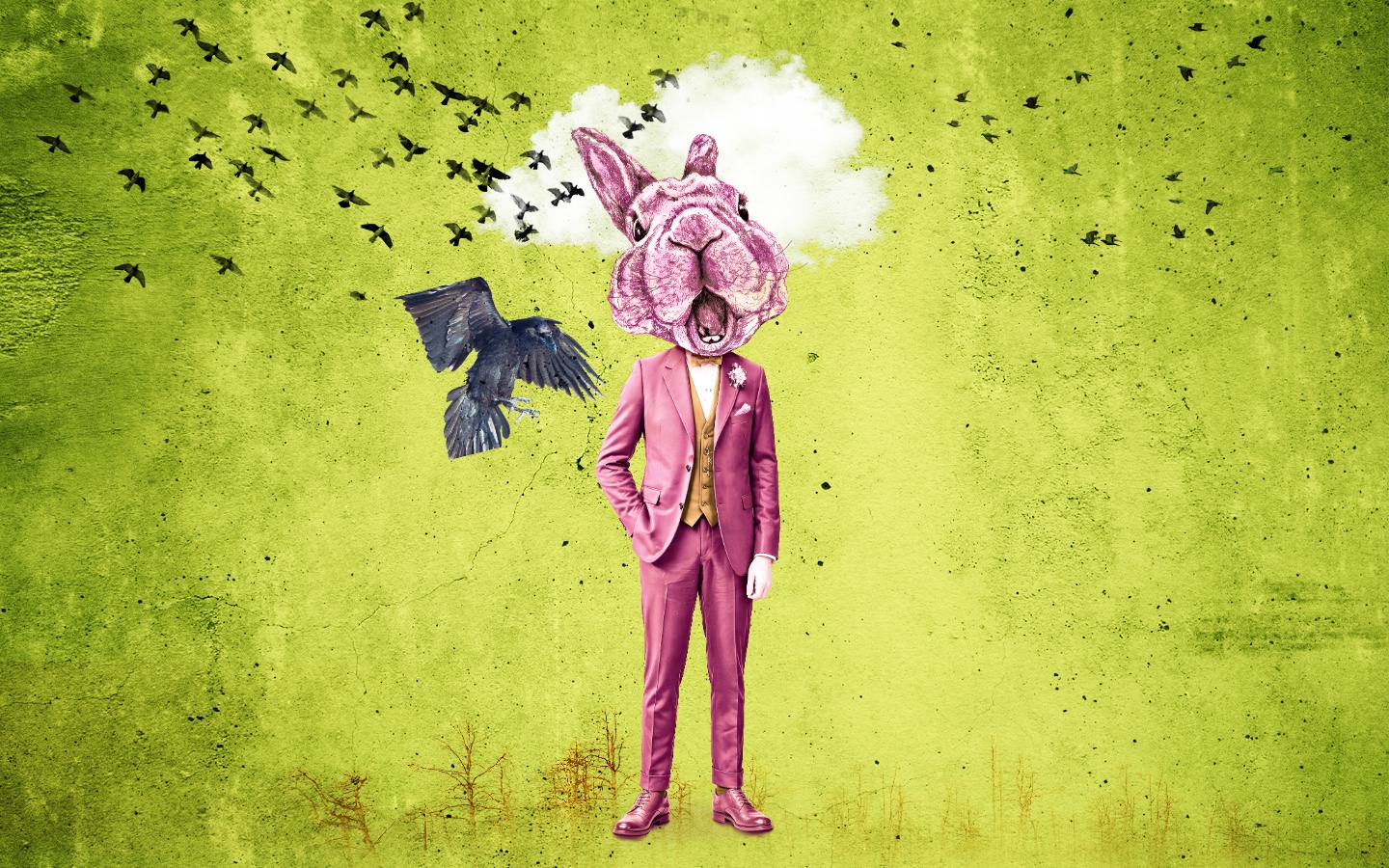 Anatomie d’une illusion