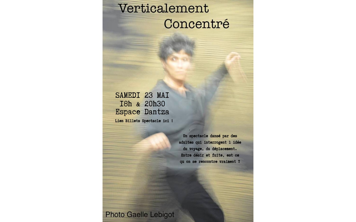 Spectacle du Carré Danse "Verticalement concen ...