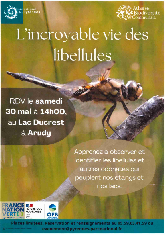 Fêtons la biodiversité - L'incroyable vie des  ...