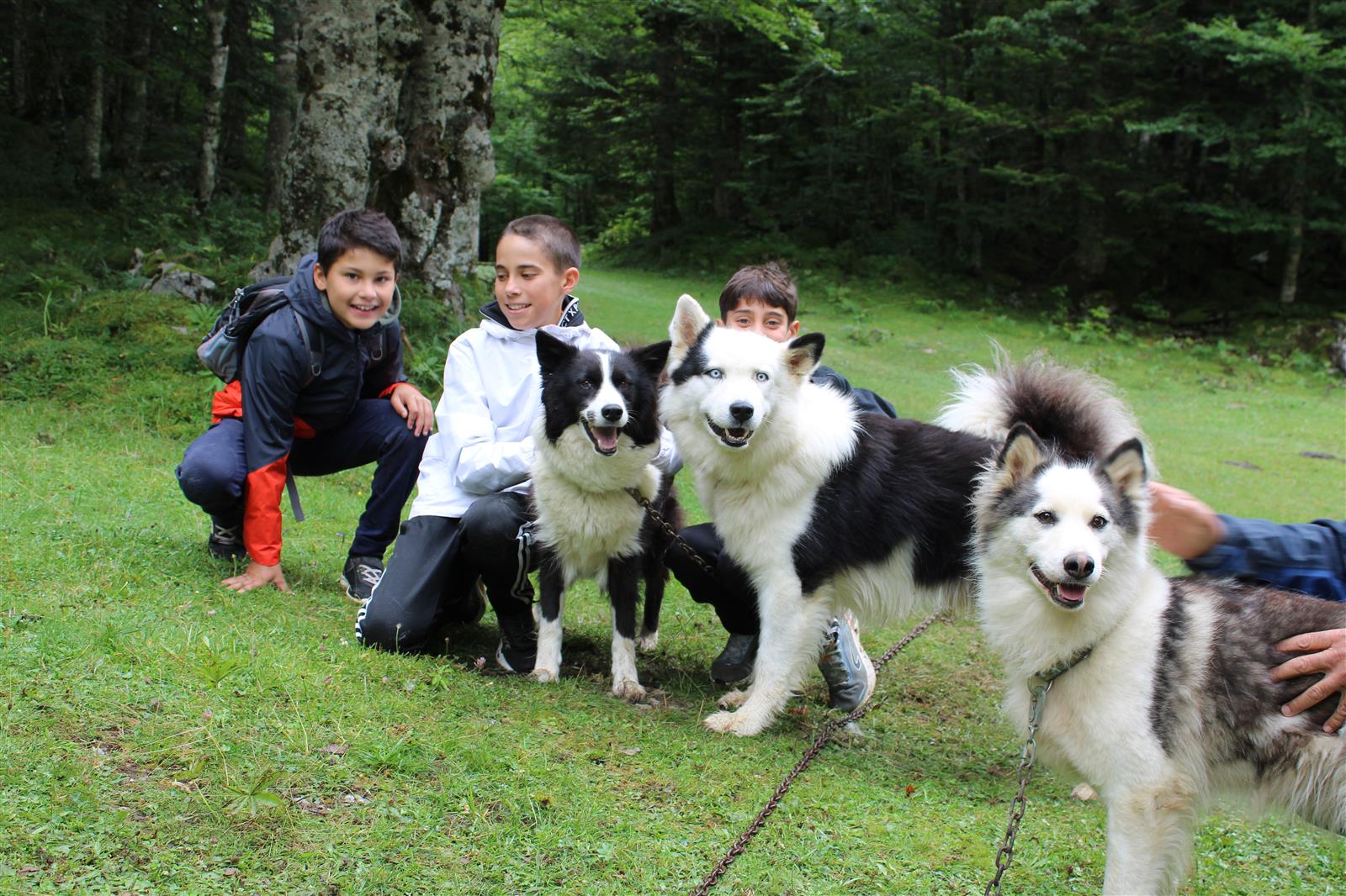 Randonner avec un chien nordique à Oloron Sain ...
