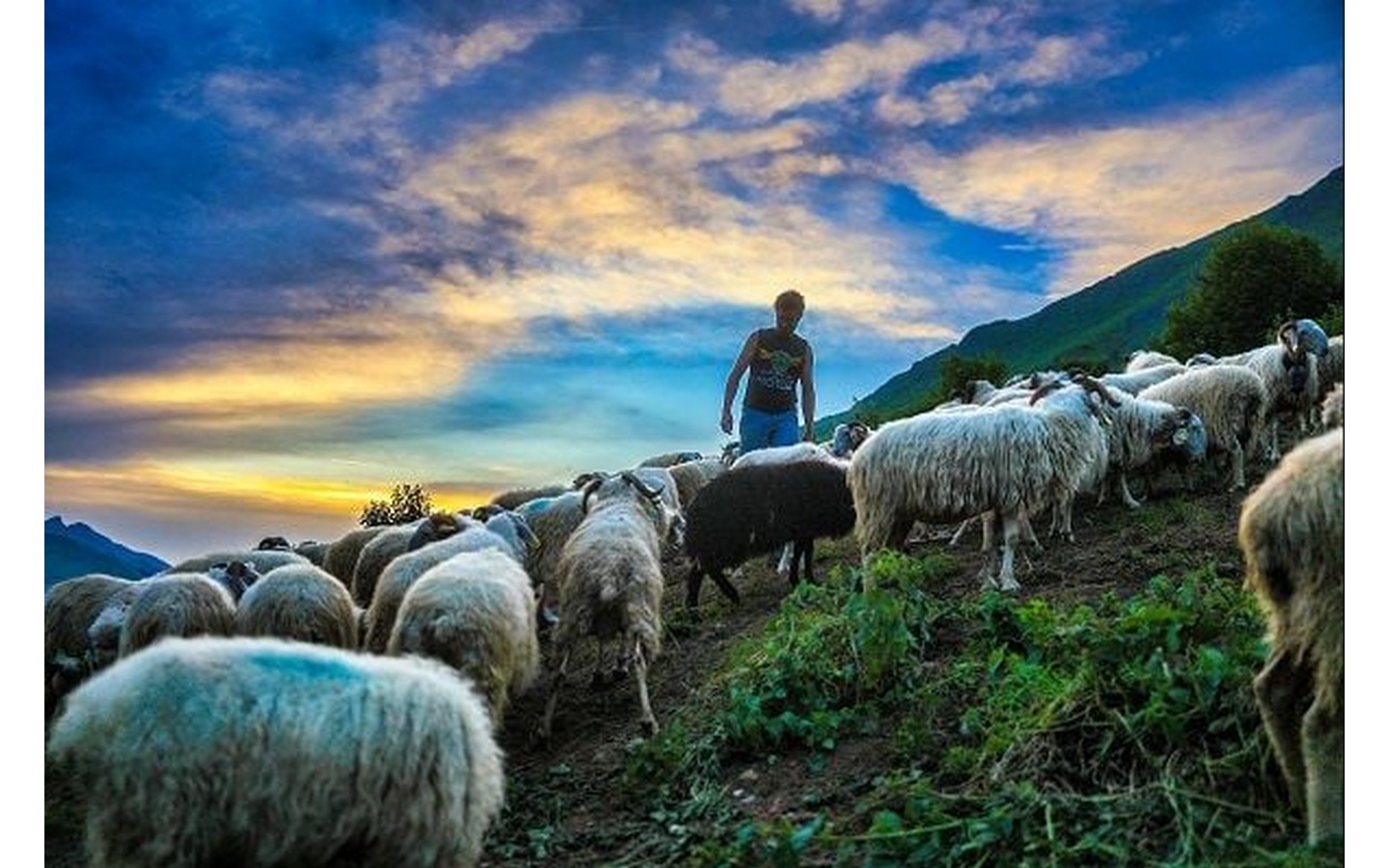 Exposition: Estives, photographie de David Le  ...