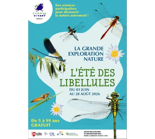 L'été des libellules