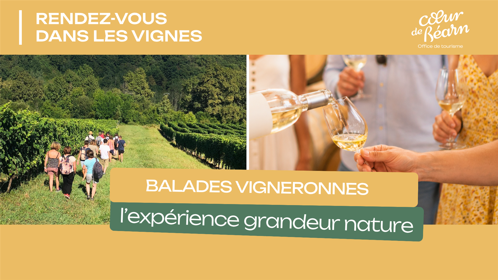 Balade vigneronne : Domaine Bordenave