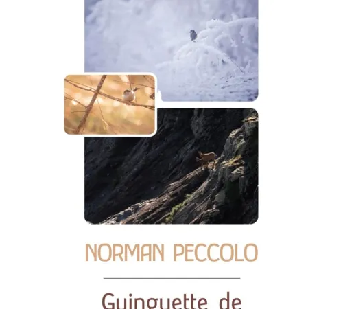 Exposition : Norman Peccolo - photographe sauvage