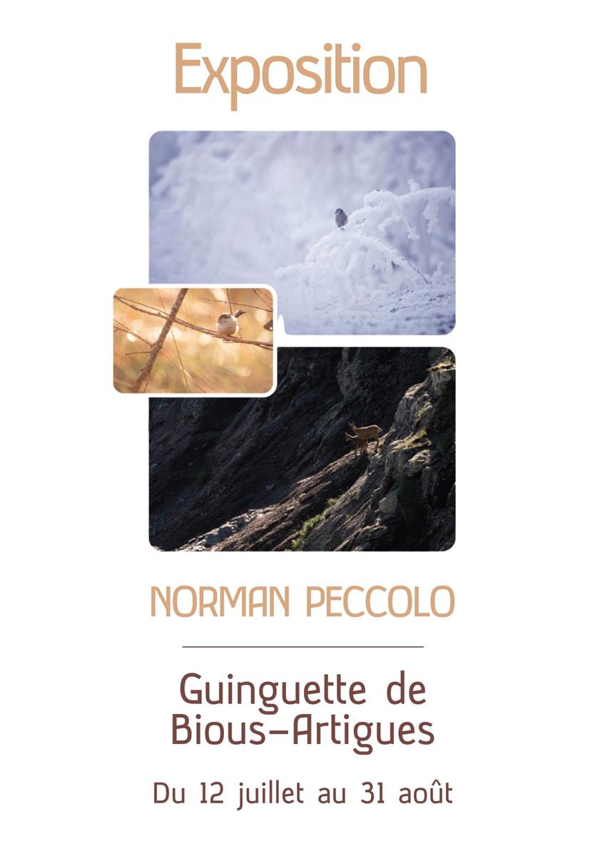 Vernissage d'exposition : Norman Peccolo - pho ...