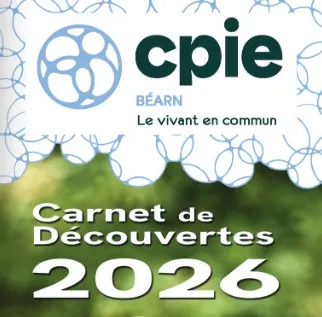 La phytoépuration - S ... - Crédit: CPIE Béarn | CC BY-NC-ND 4.0