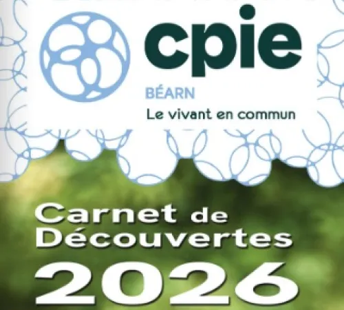 Vie sauvage des petites bêtes - Sortie CPIE