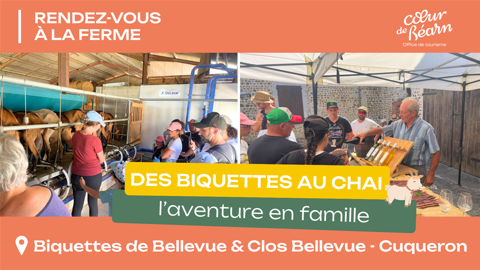Rendez-vous à la ferme : Des biquettes au chai