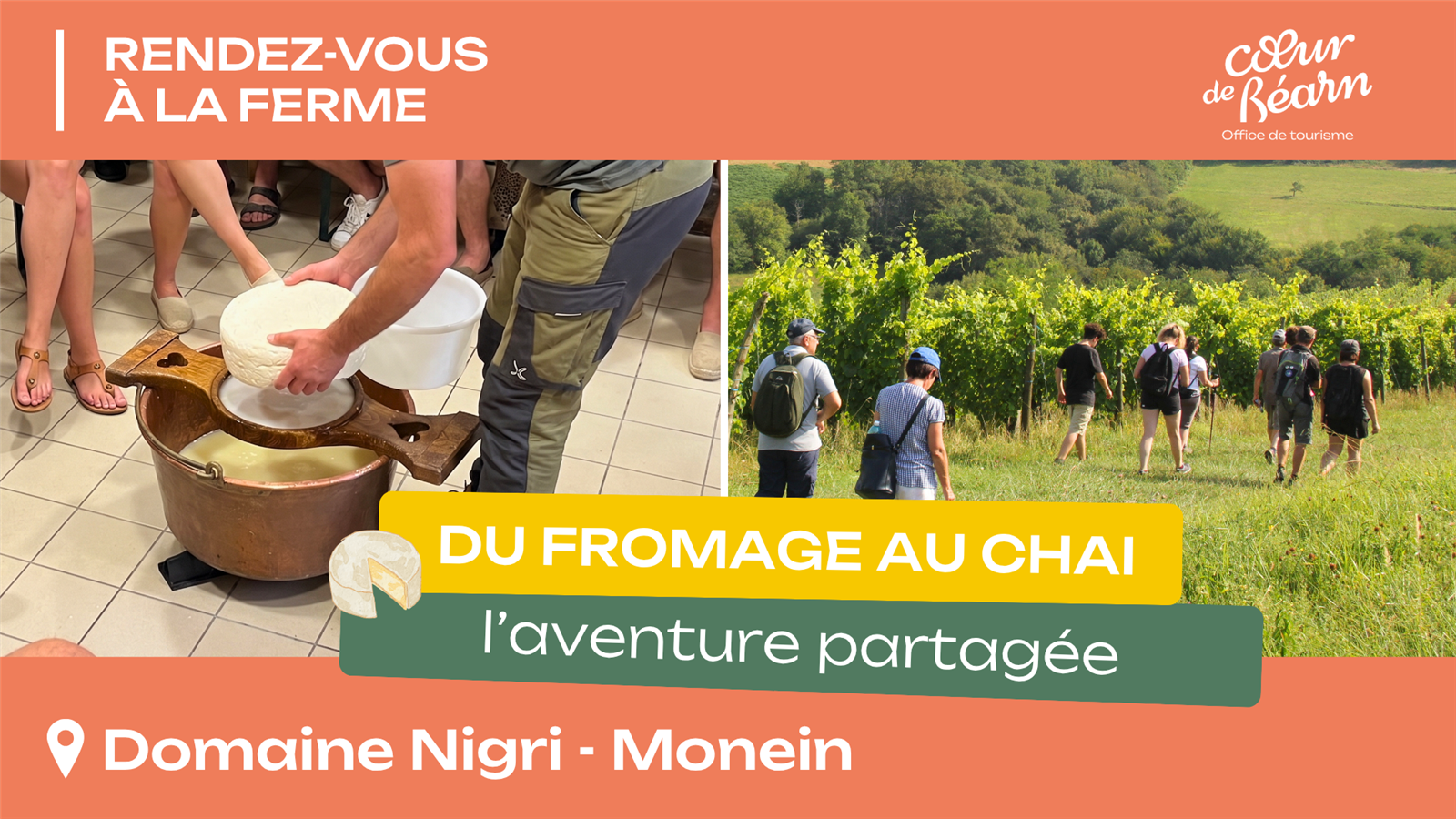 Rendez-vous à la ferme : Du fromage au chai