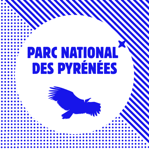 Nuit internationale de la chauve souris