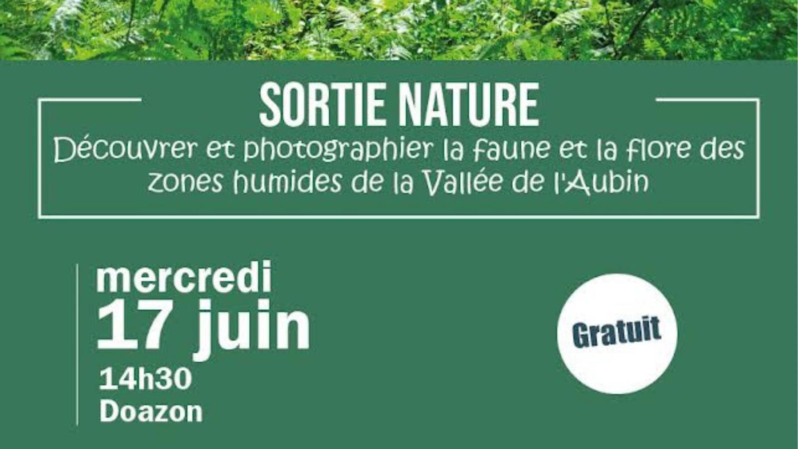 Sortie nature et photo