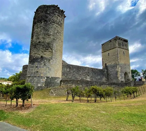 Visite accompagnée du Château et de sa bastide