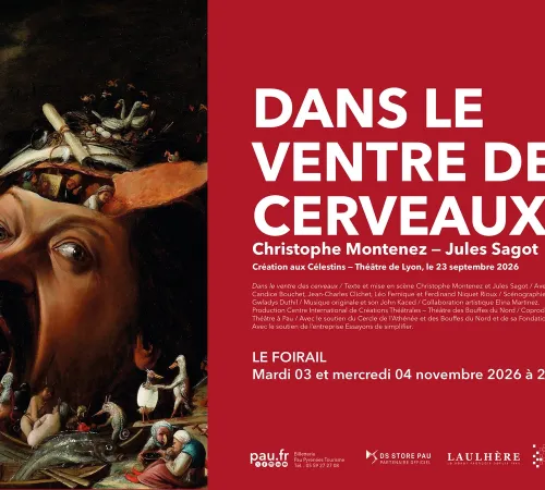 Saison Théâtre à Pau - Dans le ventre des cerveaux
