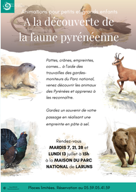 A la découverte de la faune pyrénéenne