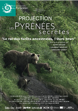 Le roi des fôrets ancestrales, l'Ours Brun