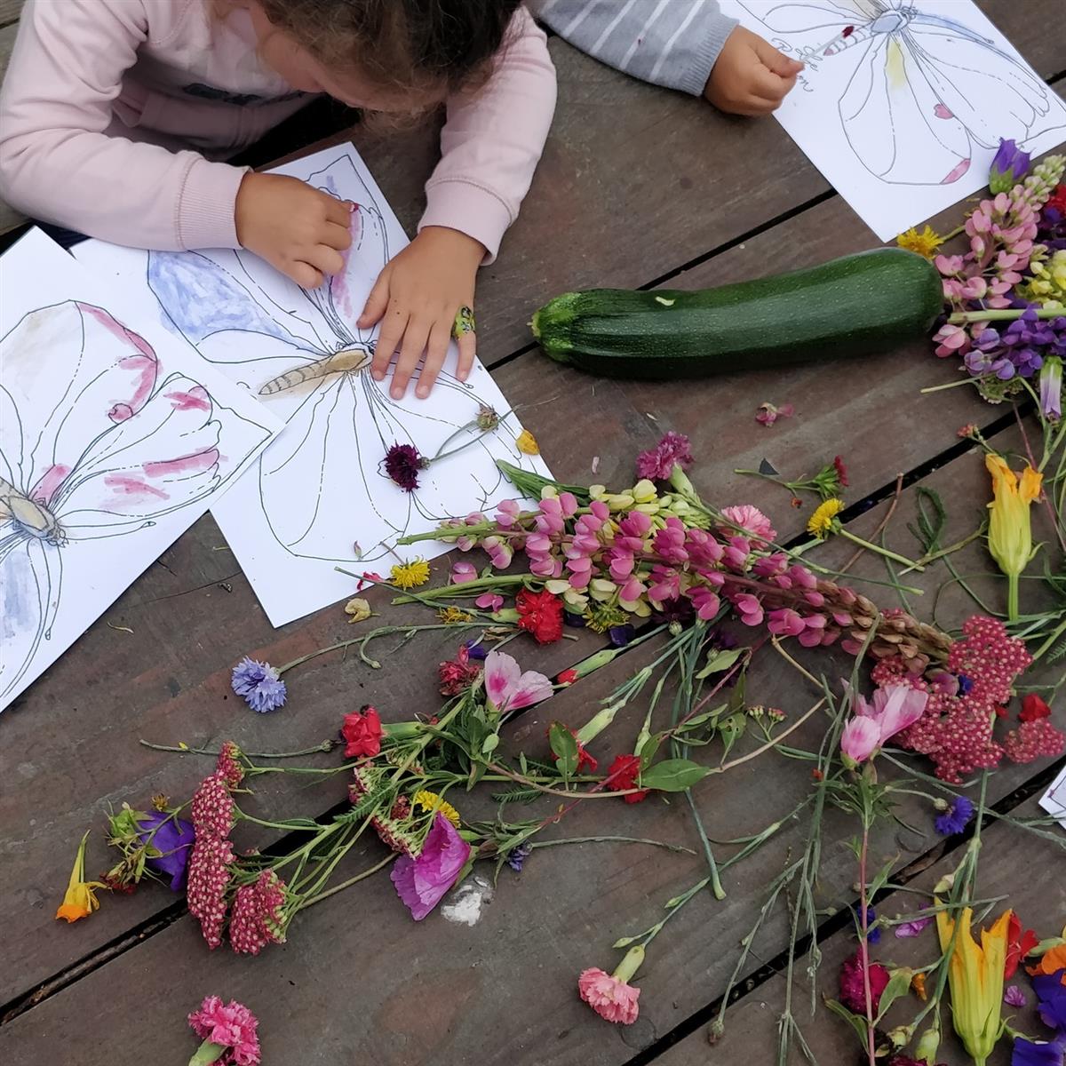 Conte sur les papillons et coloriage végétaux, ...