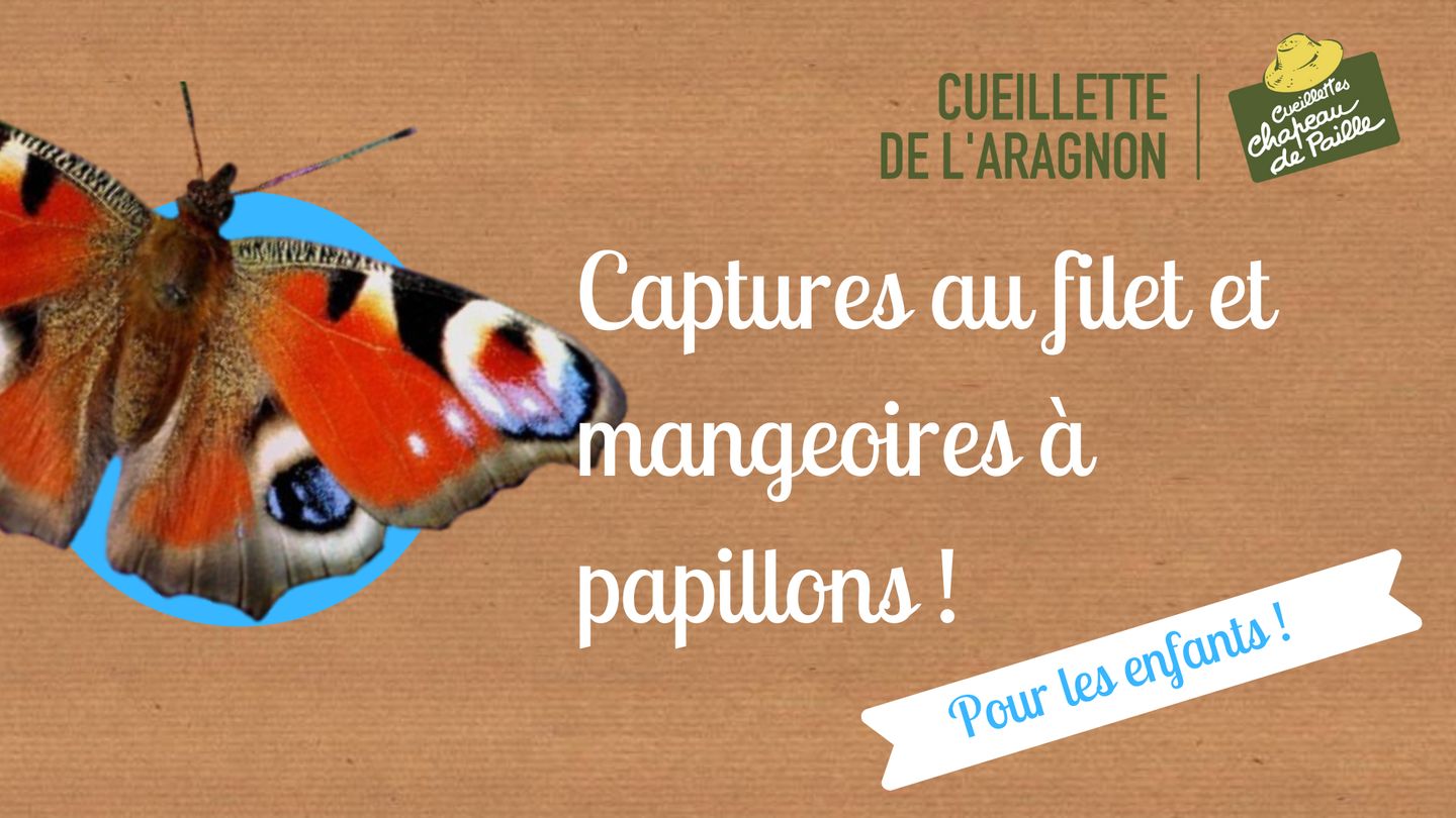 Animation sur les papillons, à la Cueillette d ...