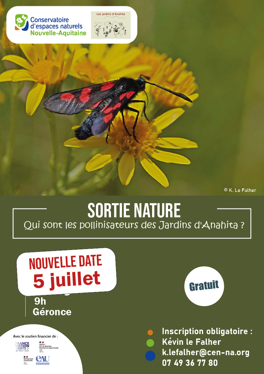 Sortie nature : Qui sont les pollinisateurs de ...