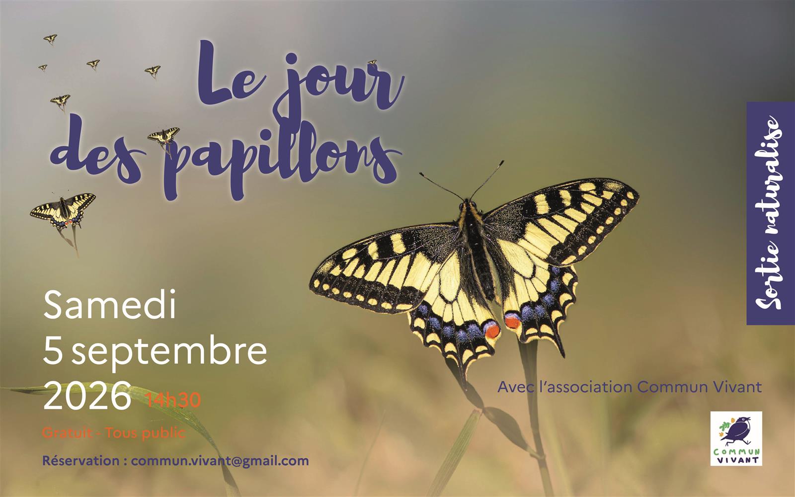 Le jour des papillons