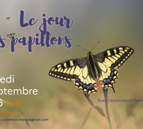 Le jour des papillons