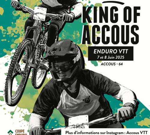 Championnat enduro VTT