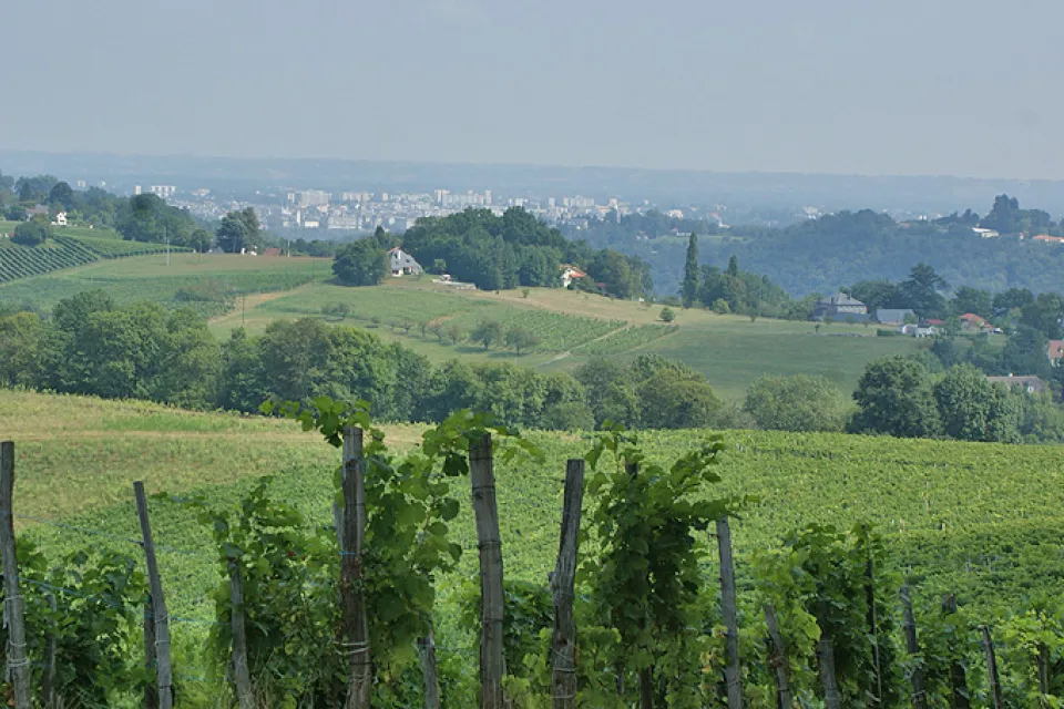 Jurançon - Gan - Coteaux du Jurançon