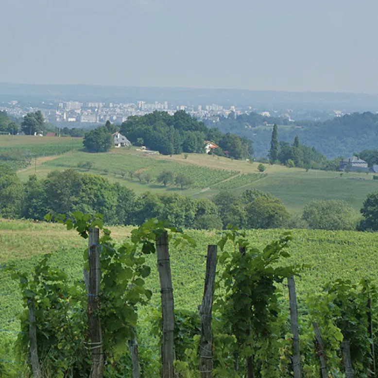 Jurançon - Gan - Coteaux du Jurançon