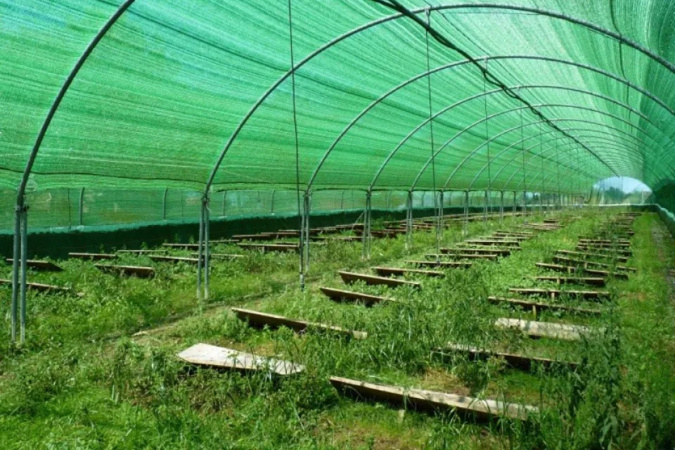 La Ferme aux Escargots
