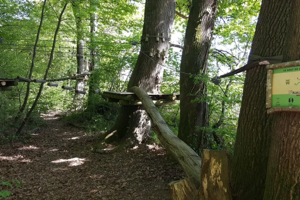 Forêt des Vert-Tiges