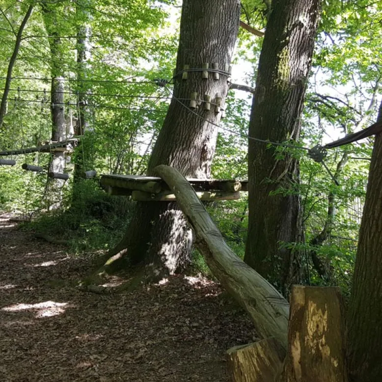 Forêt des Vert-Tiges