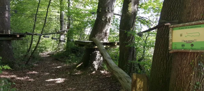 Forêt des Vert-Tiges
