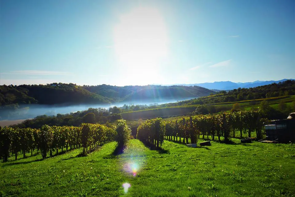 Domaine Bazaillacq