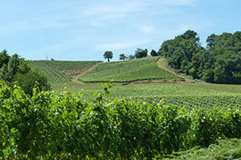 Domaine Hourcadet