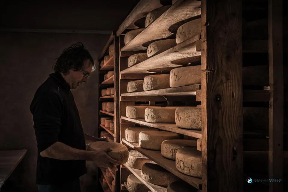 Le goût authentique du Béarn à votre table