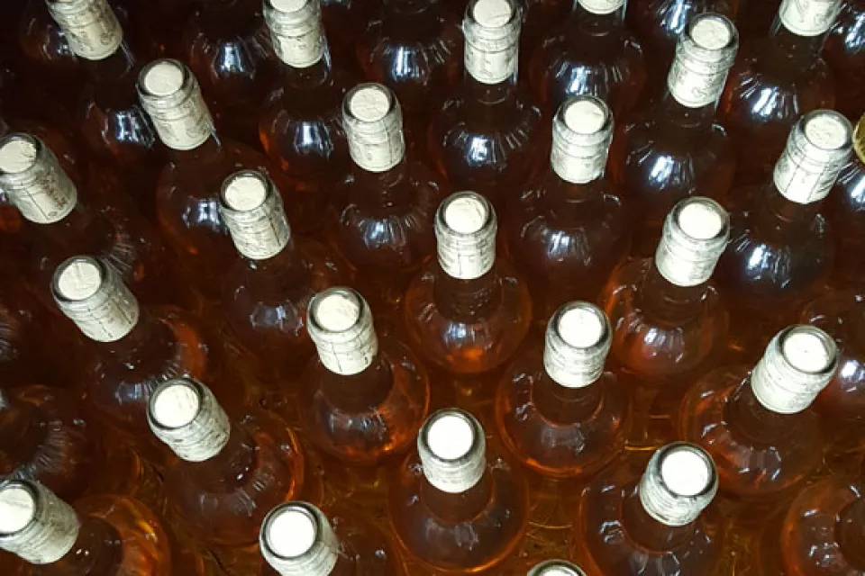 Domaine Burgué Bats-Lourau