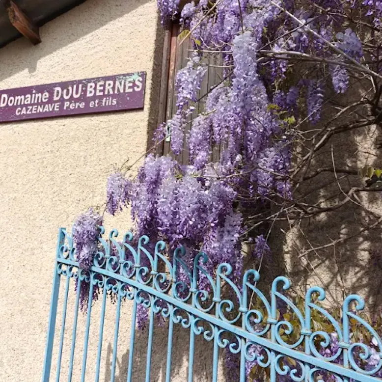 Domain Dou Bernès