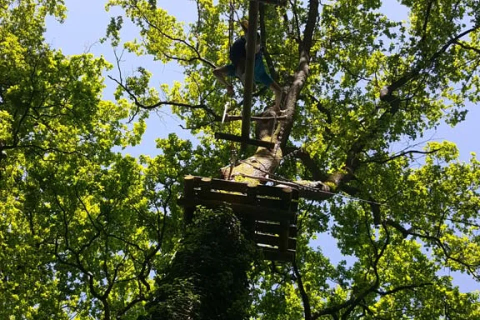 Forêt des Vert-Tiges