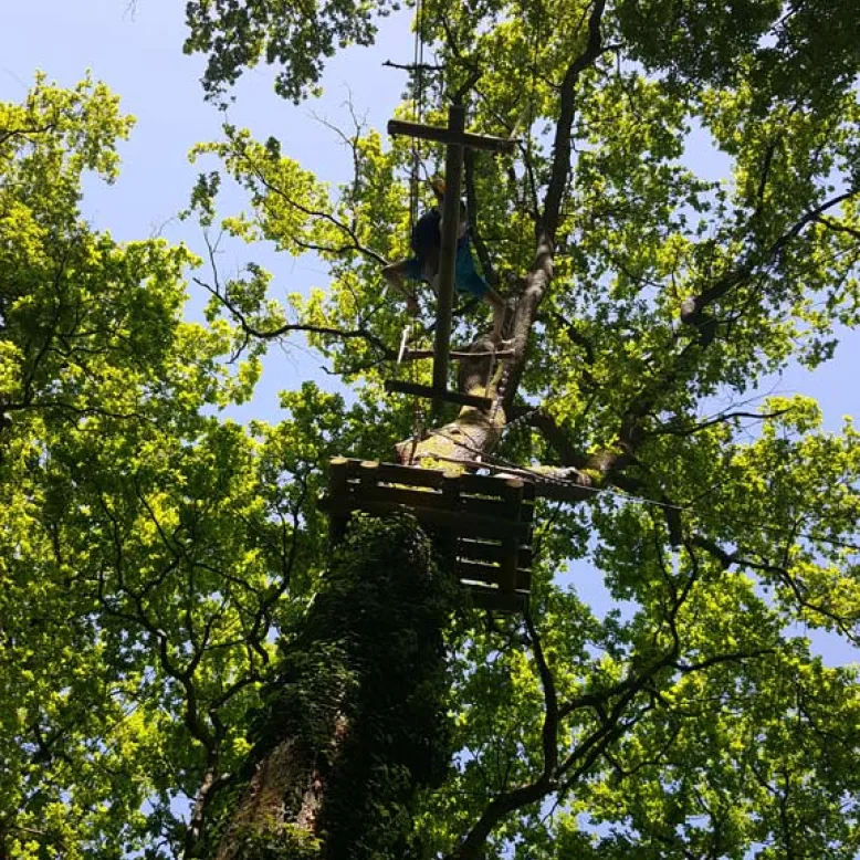 Forêt des Vert-Tiges