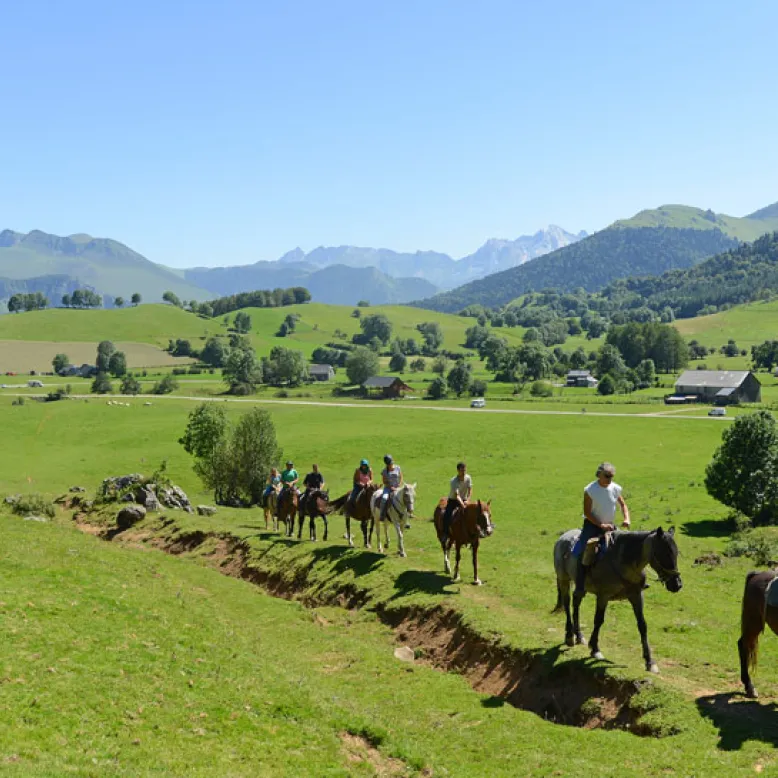 Les chevaux du Benou Chevauchée pyrénéenne