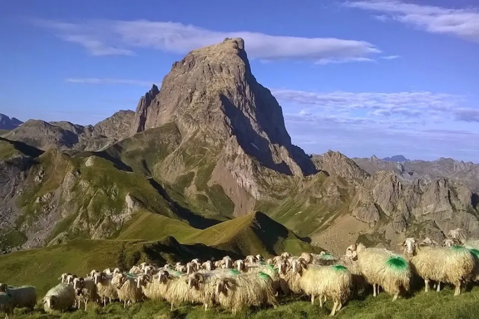 Carrère Régis Fromage