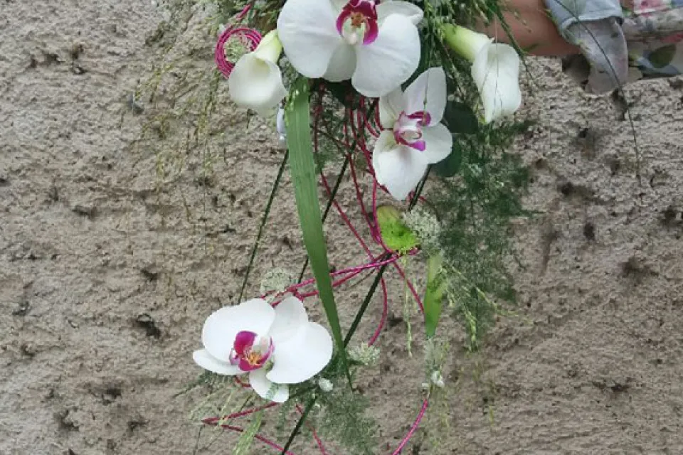 Aux Jardins de Sissi