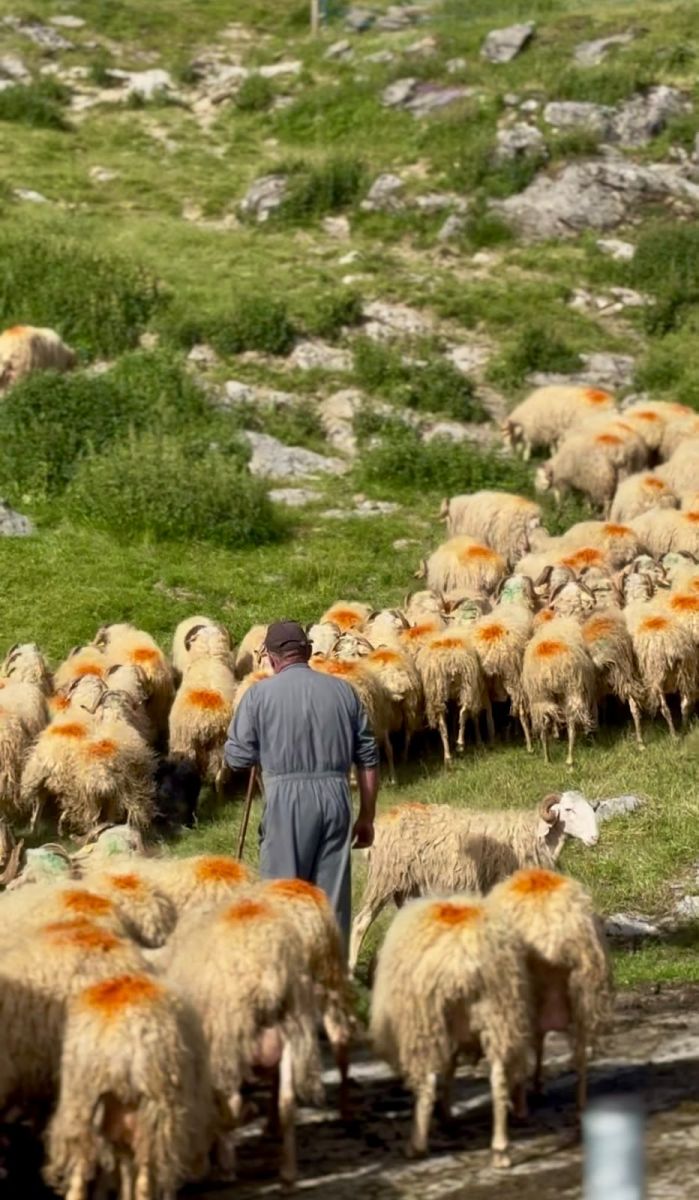 La Ferme Salies-Salet