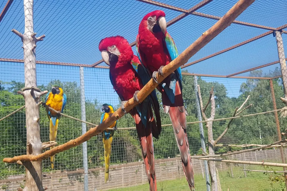 Exotic Park