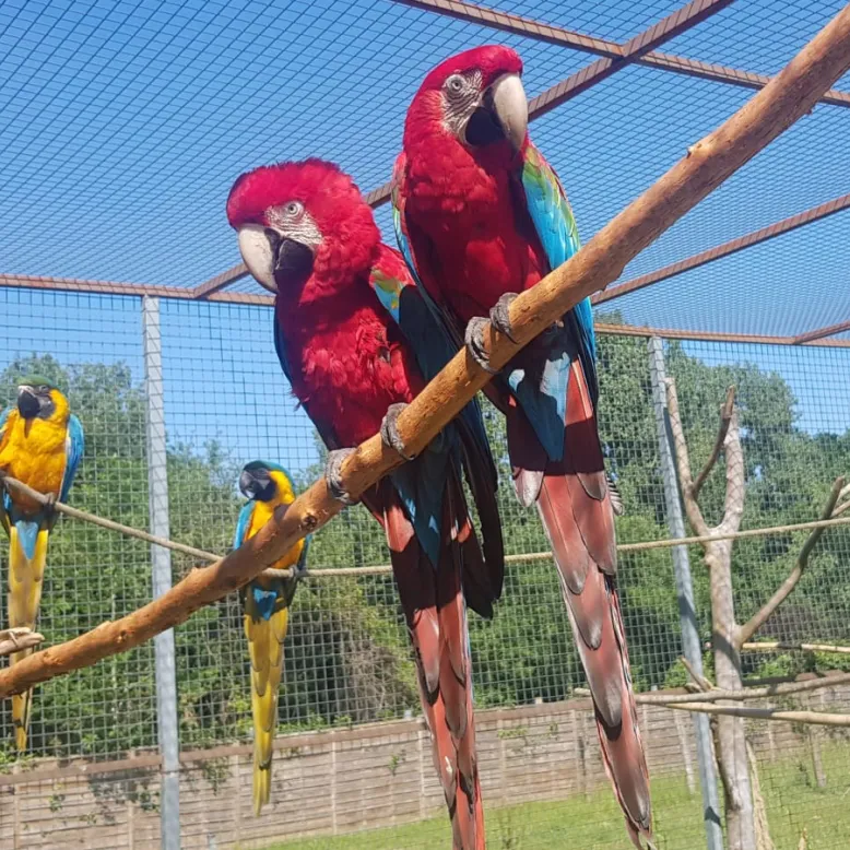 Exotic Park