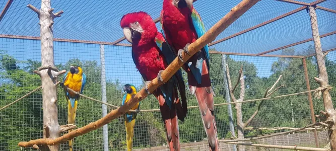 Exotic Park