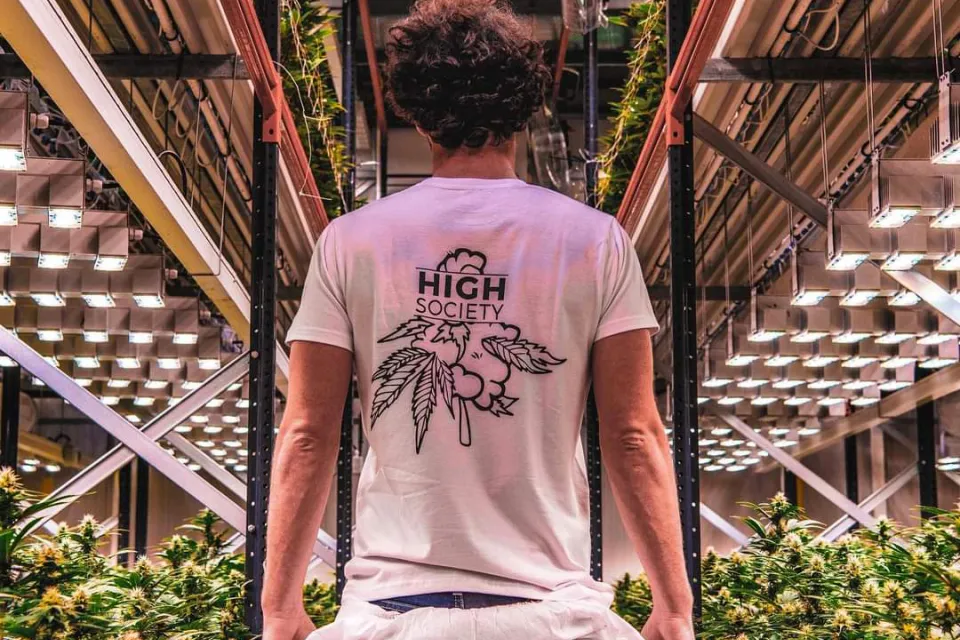 High Society